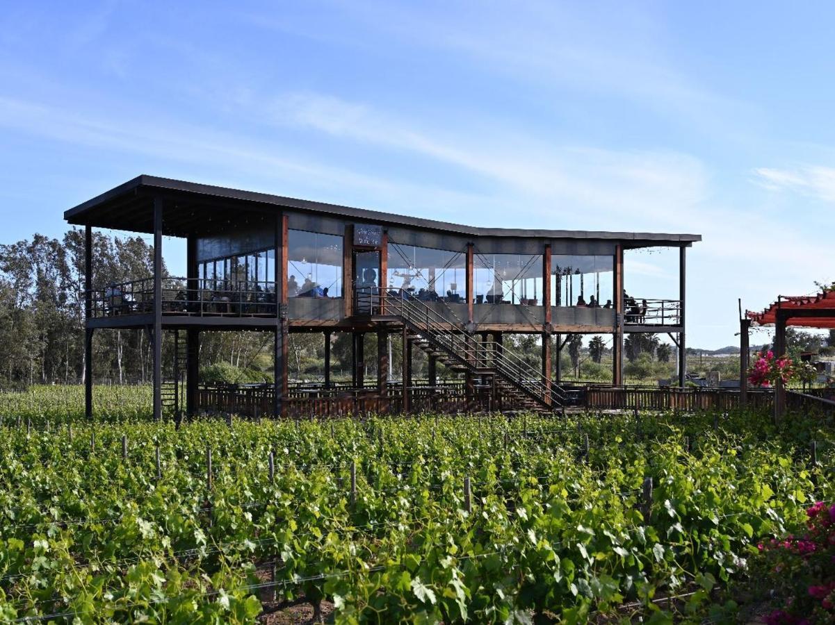 Don Tomas Vinedo Cabanas Valle de Guadalupe Eksteriør bilde
