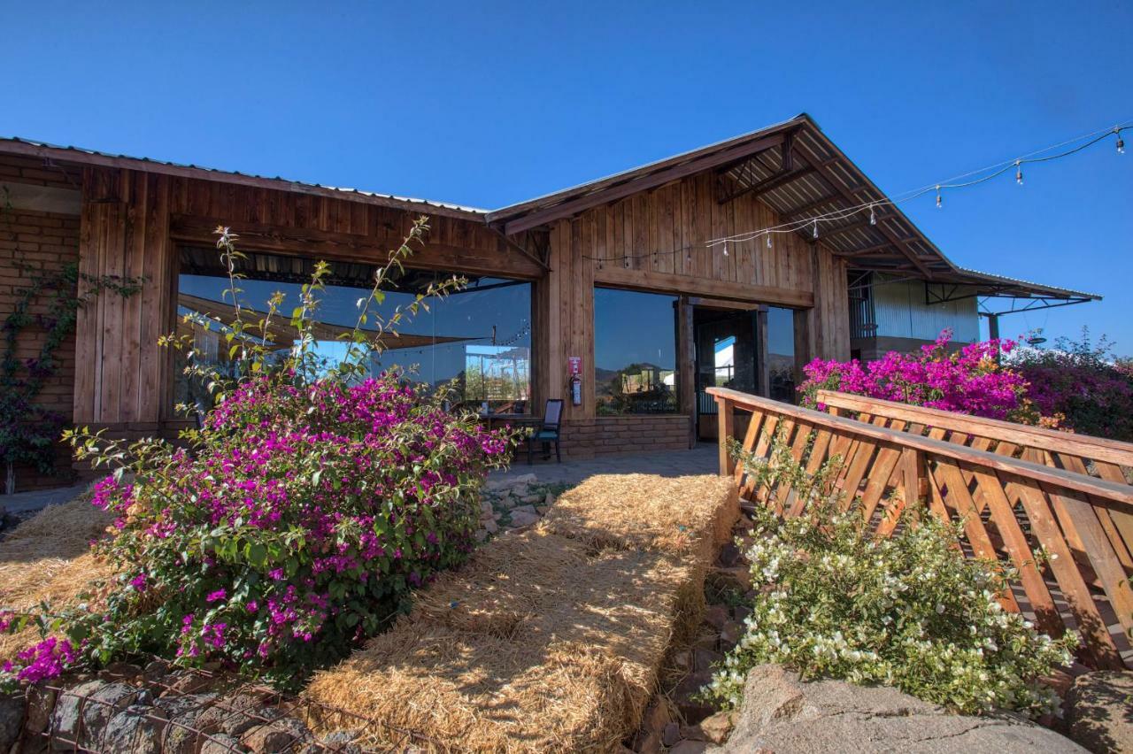 Don Tomas Vinedo Cabanas Valle de Guadalupe Eksteriør bilde