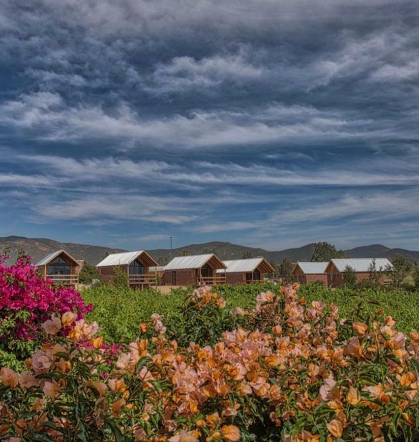 Don Tomas Vinedo Cabanas Valle de Guadalupe Eksteriør bilde